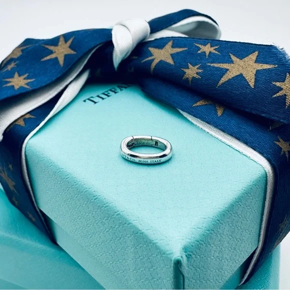Tiffany & Co. Clasping Link Jump Ring for Bracelet or Necklace - Picture 1 of 6